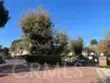 1505 S Raitt Street #97 thumbnail 6