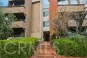 4675 Willis Avenue #105 thumbnail 1