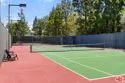 8505 Gulana Avenue #5207 thumbnail 21