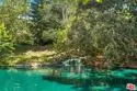 1211 Raintree Circle thumbnail 38