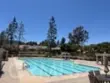 38677 Muirfield Drive thumbnail 9