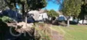 1437 Robin thumbnail 4