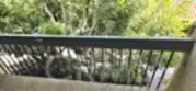 1120 Palo Verde Avenue thumbnail 6