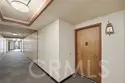 4114 Apricot thumbnail 2