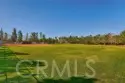 171 Great Lawn thumbnail 40