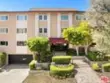 1121 N Olive Drive #102 thumbnail 13
