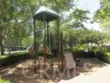 65 Figtree thumbnail 45