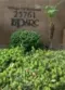 25761 Le Parc #58 thumbnail 17
