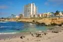 939 Coast #11 B thumbnail 7