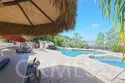 26784 Lemon Grass thumbnail 47