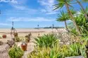1200 E Ocean #12 thumbnail 14
