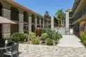 3220 Altura Avenue #217 thumbnail 50