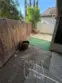 5050 Canyon Crest thumbnail 17