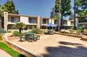 1045 Peach Ave Unit 34 #Unit 34 thumbnail 42