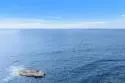 939 Coast #11 B thumbnail 6