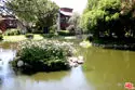 8306 Summertime Lane thumbnail 31