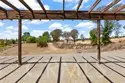 36499 Linda Rosea thumbnail 43