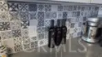 488 E Ocean #1607 thumbnail 5