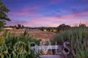29620 Monte Verde thumbnail 6
