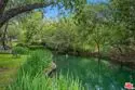 1211 Raintree Circle thumbnail 22
