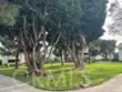 8633 Portola Court #17-E thumbnail 38