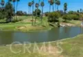 30975 Brassie Lane thumbnail 31