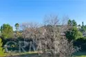 31383 Britton Circle thumbnail 56