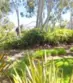 55 Fleurance thumbnail 14