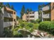 9725 Mesa Springs #184 thumbnail 25