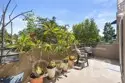 27825 Violet thumbnail 26