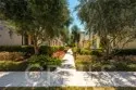 32 Savannah thumbnail 21