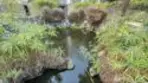3050 Rue D'orleans #423 thumbnail 8