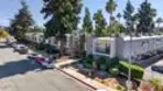 1045 Peach Ave Unit 34 #Unit 34 thumbnail 53