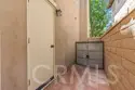 97 Canopy thumbnail 61