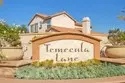31167 Mountain Lilac thumbnail 21