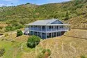  photo #1