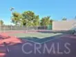 2 Snapdragon thumbnail 42