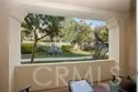 31205 Strawberry Tree thumbnail 8