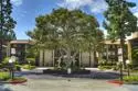 1775 Diamond Street #221 thumbnail 1