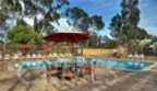 36 Starfish Court thumbnail 17