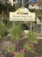21245 Camelia #27 thumbnail 12