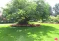 2160 Century Park East #804 thumbnail 26