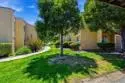 2910 Alta View Drive #203 thumbnail 24