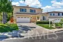 41211 Pine Tree thumbnail 52