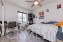8 Deodar thumbnail 23