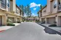 13450 Savanna thumbnail 2