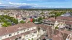 1123 Abelia thumbnail 36