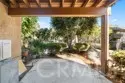 208 Orange Blossom thumbnail 15