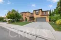 30780 Olympia Rose thumbnail 4