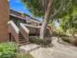 13231 Creek View Drive #C thumbnail 2